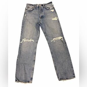 Agolde 100% ORGANIC COTTON Straight Leg Distressed Blue Jeans